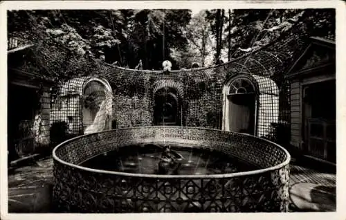 Ak Schwetzingen in Baden, Brunnen, wasserspeiende Vögel