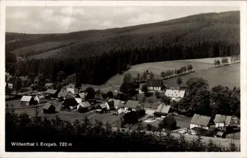 Ak Wildenthal Eibenstock im Erzgebirge, Gesamtansicht