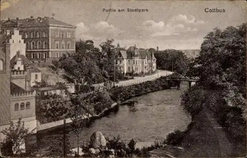 Ak Cottbus in der Niederlausitz, am Stadtpark