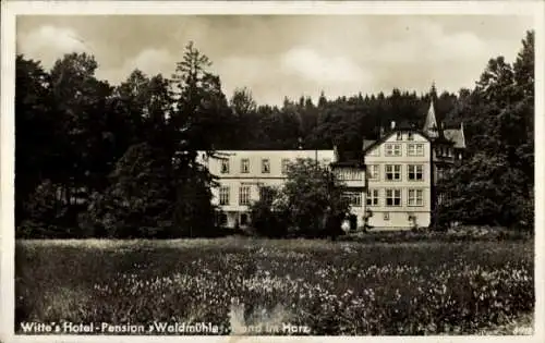 Ak Elend Oberharz am Brocken, Witte's Hotel Pension Waldmühle