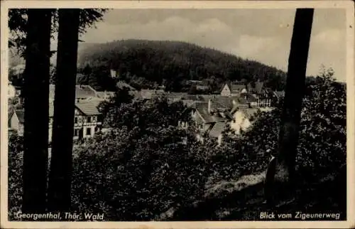 Ak Georgenthal Thüringen, Blick vom Zigeunerweg