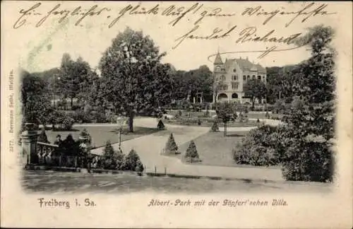 Ak Freiberg in Sachsen, Albert-Park, Göpfert'sche Villa