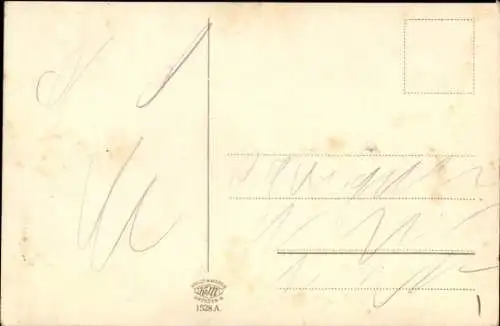 Ak Pirna an der Elbe, Teilansicht, Sonnenstein