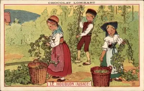 Künstler Ak Le Houblon Alsace, Chocolat Lombart