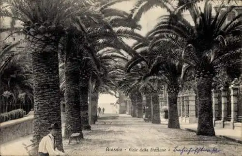 Ak Alassio Liguria, Viale della Stazione