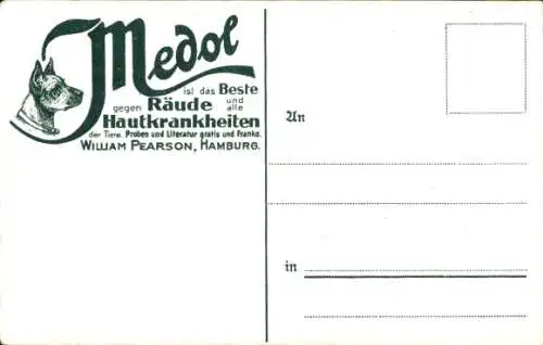 Ak Delhi Indien, Kashmere Tor, Werbung Medol