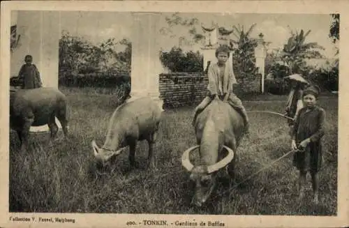 Ak Tonkin Vietnam, Buffalo Keepers