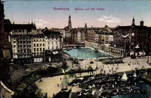 Ak Hamburg Mitte Altstadt, Möven auf der Alster, Straßenbahn