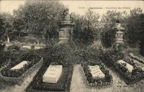 Ak Asnières sur Seine Hauts-de-Seine, Hundefriedhof, Grabstätten