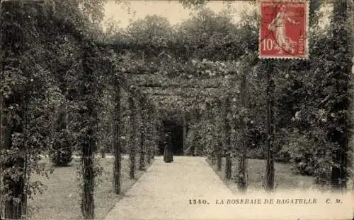 Ak Paris XVI, Bois de Boulogne, Bagatelle, Roseraie