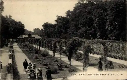 Ak Paris XVI, Bois de Boulogne, Bagatelle, Roseraie