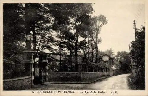 Ak La Celle Saint Cloud Yvelines, Lys de la Vallee