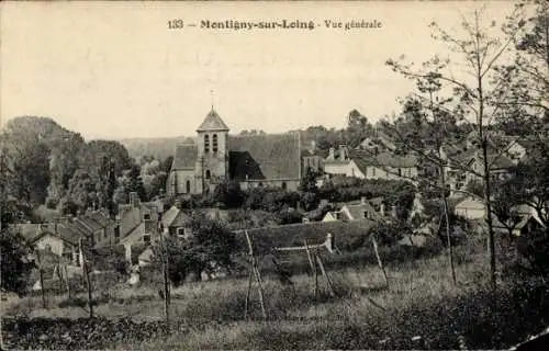 Ak Montigny sur Loing Seine et Marne, Panorama