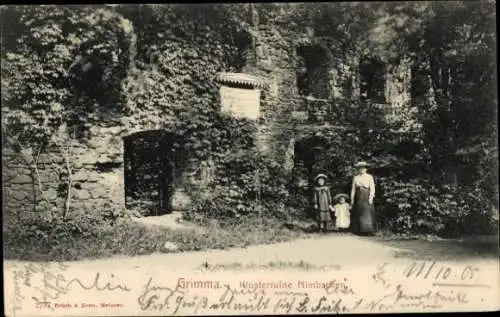 Ak Nimbschen Grimma in Sachsen, Kloster Nimbschen, Ruine