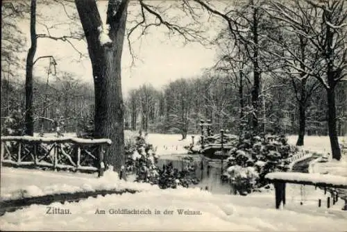 Ak Zittau in Sachsen, Am Goldfischteich in der Weinau, Winter