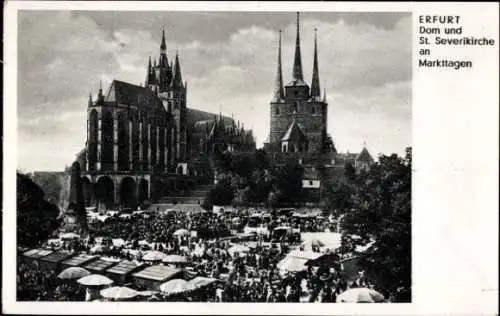 Ak Erfurt in Thüringen, Dom, St. Severikirche an Markttagen