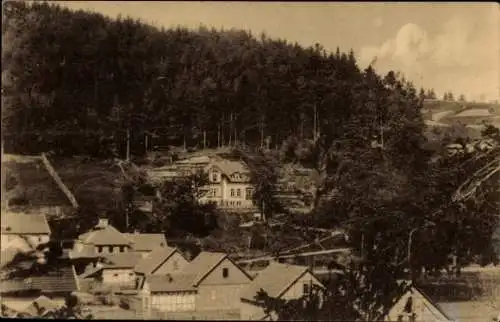 Ak Stutzhaus Luisenthal im Thüringer Wald, Teilansicht