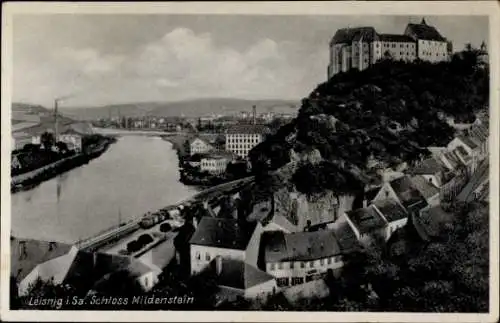 Ak Leisnig in Sachsen, Stadtpanorama mit Schloss Mildenstein