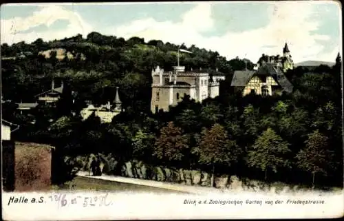 Ak Halle an der Saale, Blick von Friedensstraße, Zoologischer Garten