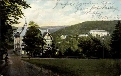 Ak Schwarzburg in Thüringen, schöne Detailansicht