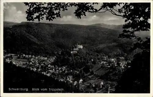 Ak Schwarzburg in Thüringen, Gesamtansicht, Blick vom Trippstein