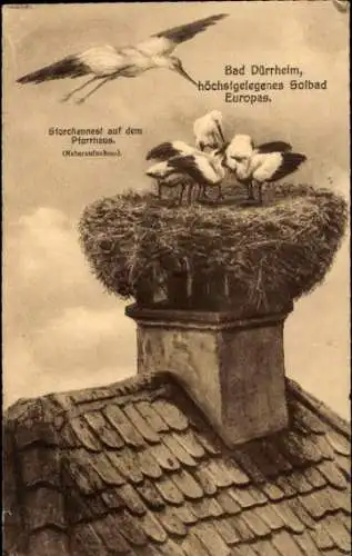 Ak Bad Dürrheim im Schwarzwald, Pfarrhaus, Storchennest, Störche