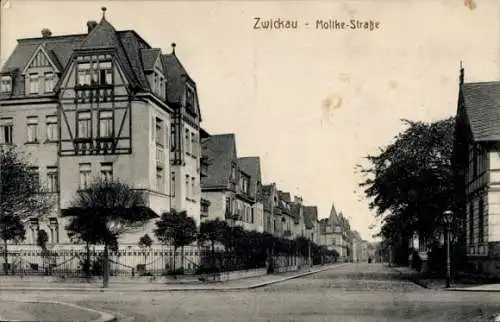 Ak Zwickau in Sachsen, Moltke-Straße