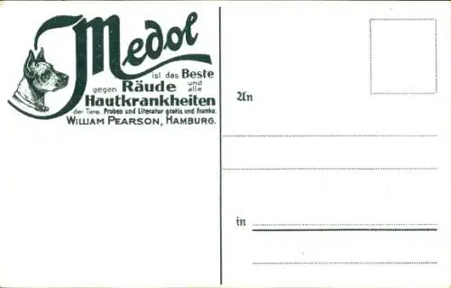 Ak Delhi Indien, Kashmere Tor, Werbung Medol