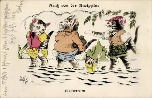 Künstler Ak Bad Wörishofen, Gruß von der Kneippkur, vermenschlichte Katzen beim Wassertreten