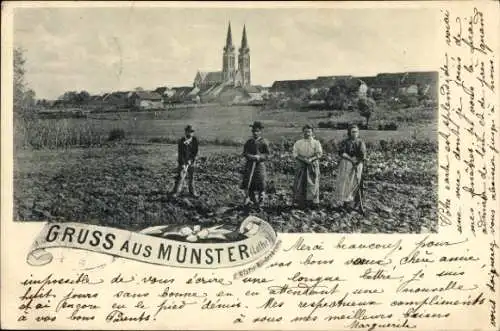 Ak Munster Minschder Münster in Lothringen Moselle, Kirche, Frauen, Ackerarbeit