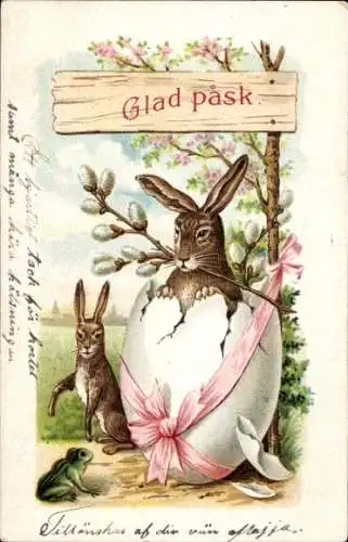 Litho Glückwunsch Ostern, Osterhase im Ei, Weidenkätzchen, Frosch