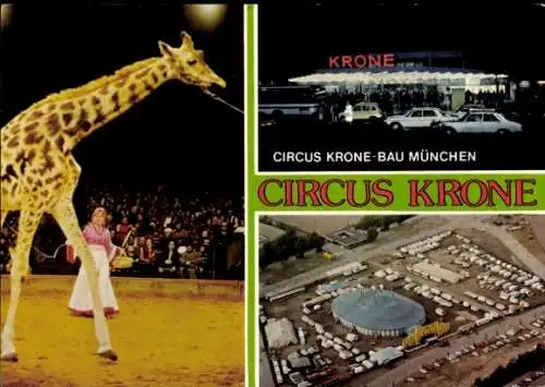 Ak München, Zirkus Krone, Giraffe Baluku, Christel Sembach Krone