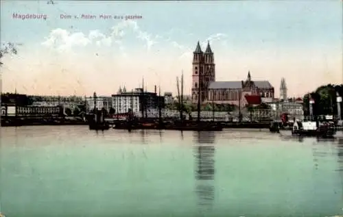 Ak Magdeburg an der Elbe, Dom vom Roten Horn aus gesehen