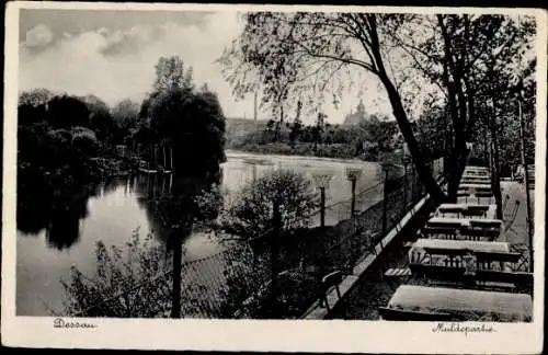 Ak Dessau in Sachsen Anhalt, Mulde, Teilansicht, Terrasse