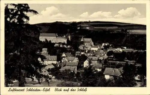 Ak Schleiden in der Eifel, Blick auf das Schloss