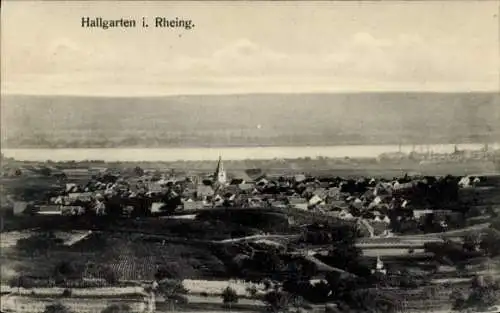 Ak Hallgarten Oestrich Winkel am Rhein Rheingau, Totalansicht