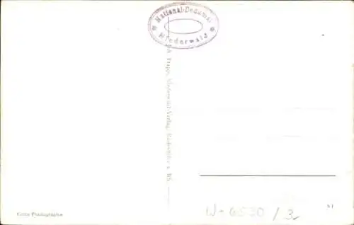 Ak Rüdesheim am Rhein, Niederwald Nationaldenkmal, Bingen, Bingerbrück, Nahemündung