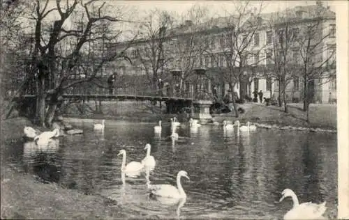 Ak Hamburg Mitte St. Georg, Alster, Gurlitt-Insel, Brücke, Schwäne