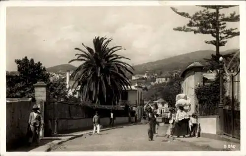 Ak Funchal Insel Madeira Portugal, Straßenpartie