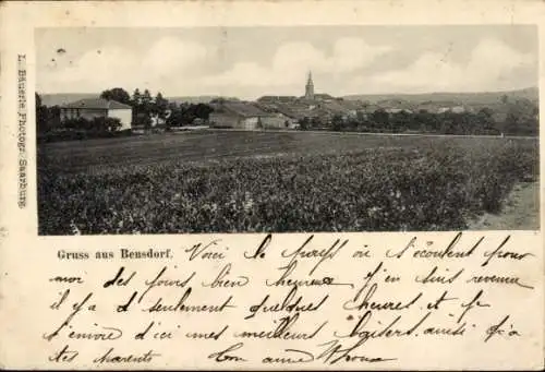 Ak Bénestroff Bensdorf Lothringen Moselle, Panorama