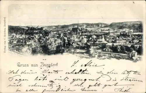 Ak Burgdorf Kanton Bern, Panorama