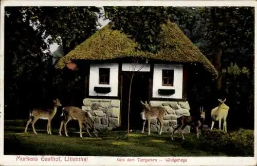 Ak Lilienthal Niedersachsen, Tiergarten, Wildgehege