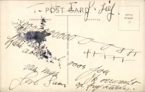 Ak Schäferhund, Tierporträt