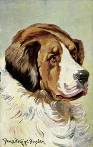 Künstler Ak Donadini, Antonio Ermenegildo, Bernhardiner, Hundeportrait