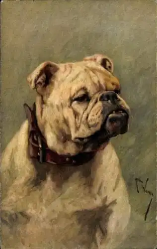 Künstler Ak Bulldogge, Hundeportrait