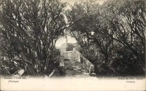 Ak Buçaco Bussaco Portugal, Cruz Alta