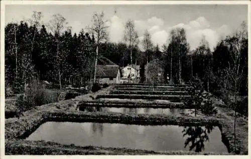 Ak Bad Homburg vor der Höhe Hessen, Forellen-Gut Taunus, Restaurant Café Herzberger