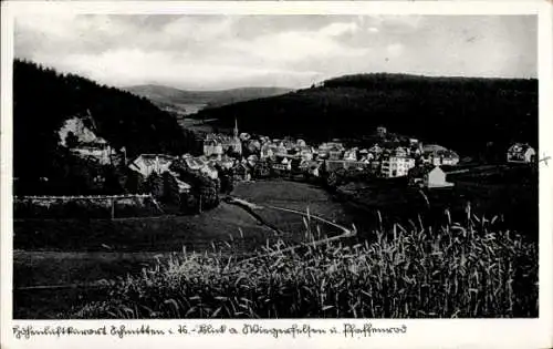 Ak Schmitten im Taunus Hessen, Totalansicht, Pfaffenrod