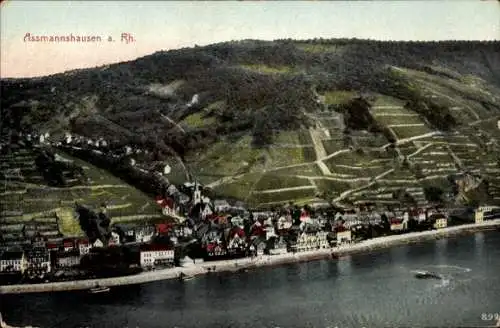 Ak Assmannshausen Rüdesheim am Rhein, Panorama