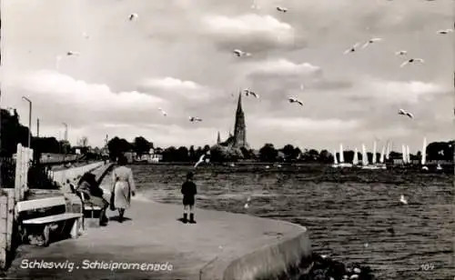 Ak Schleswig an der Schlei, Promenade